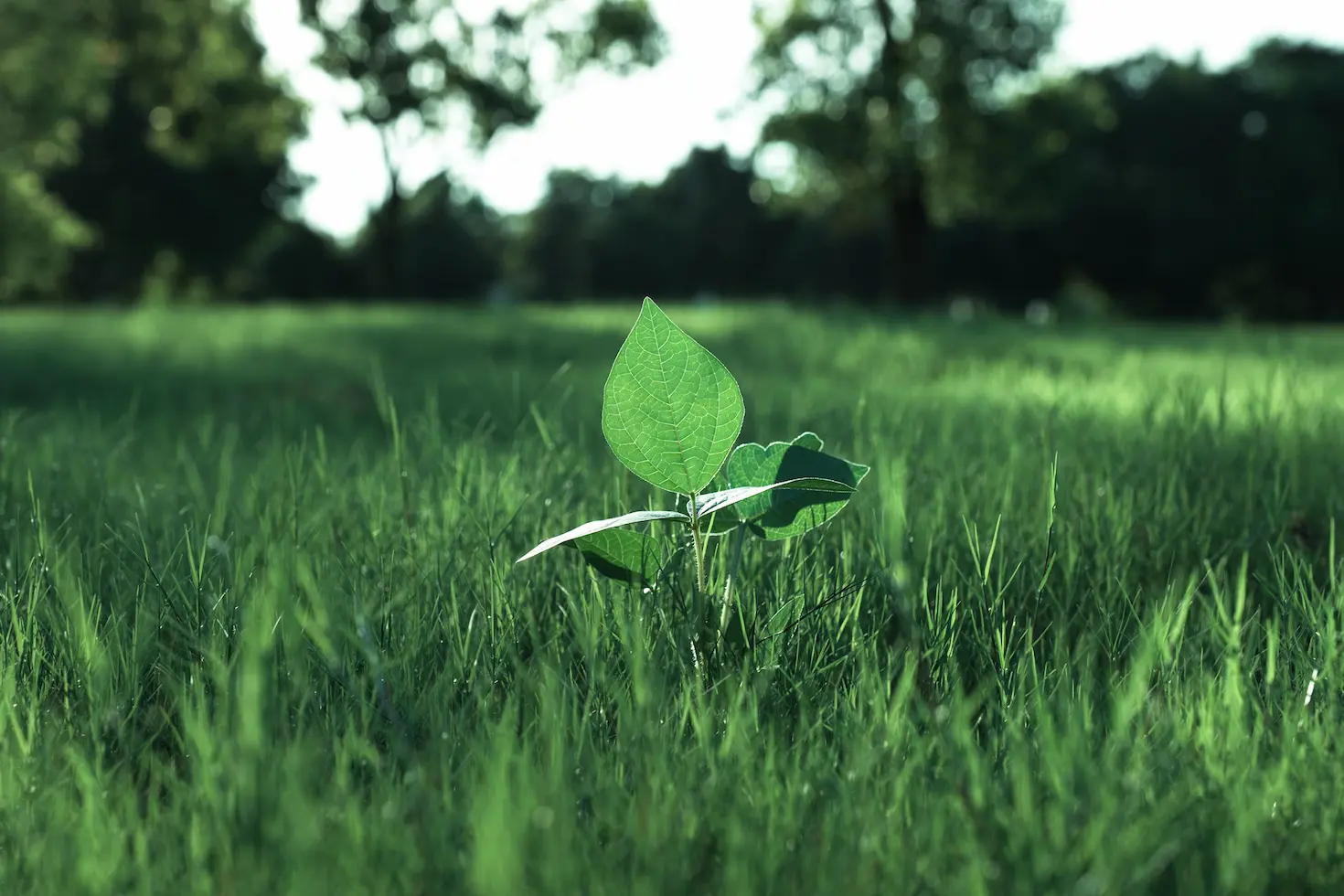 ecological machine technik vision